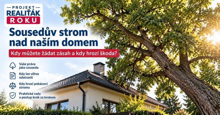 Sousedův strom se naklání nad náš dům. Musíme čekat, až spadne?
