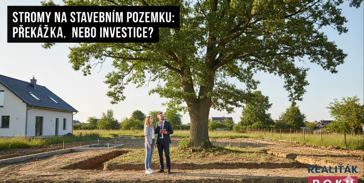 Stromy na stavebním pozemku: překážka, nebo investice k nezaplacení?