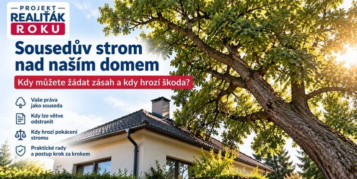 Sousedův strom se naklání nad náš dům. Musíme čekat, až spadne?
