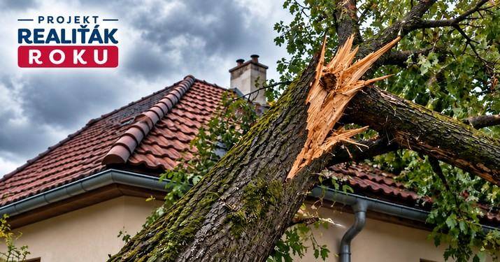 Po&scaron;kozen&yacute; strom po bouřce představuj&iacute;c&iacute; riziko pro rodinn&yacute; dům